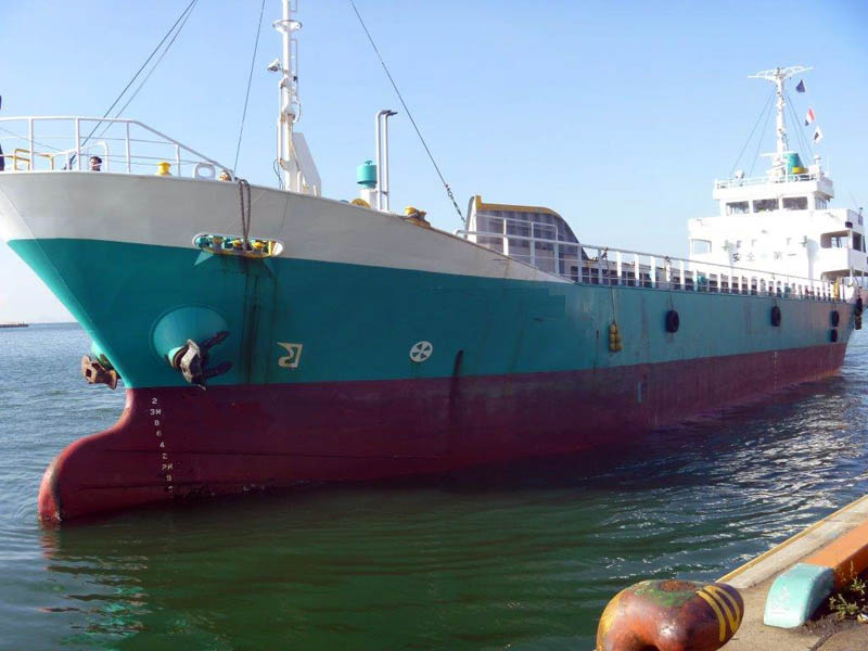 700 Dwt Used General Cargo Ship For Sale